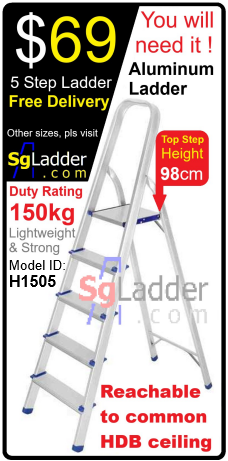 HDB BTO Ladder